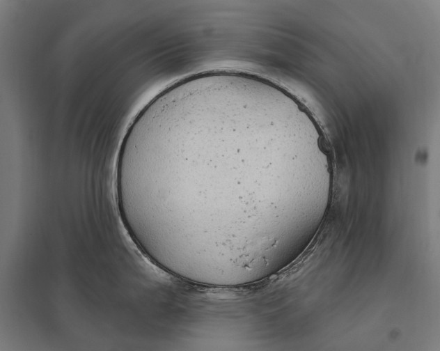 X0000097851199200803281240