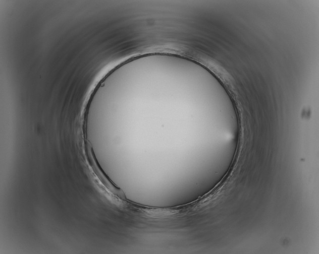 X0000097851200200803281240