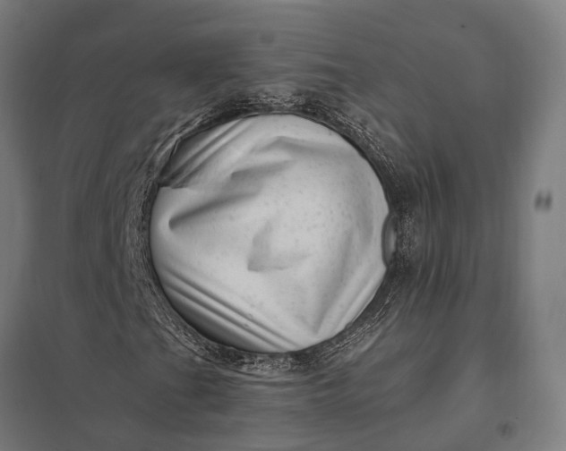 X0000097851201200803281240