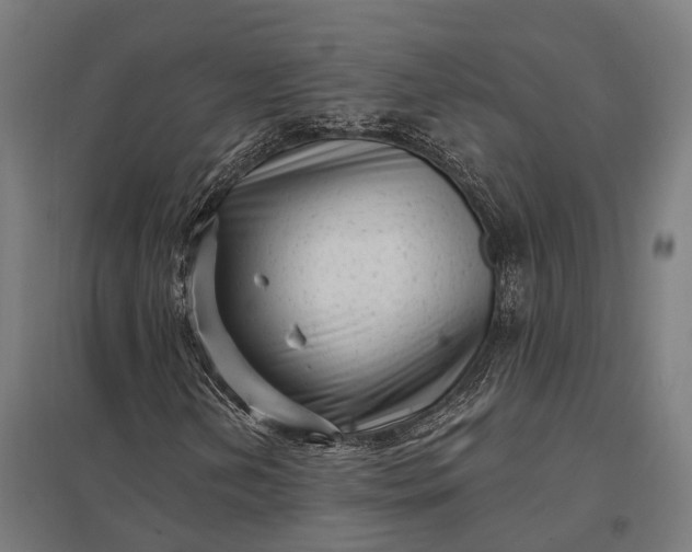 X0000097851202200803281240