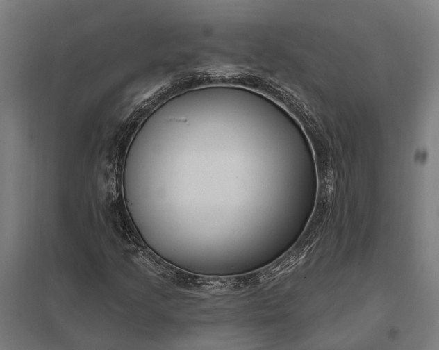 X0000097851205200803281240