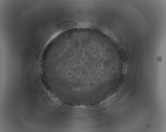 X0000097851208200803281240