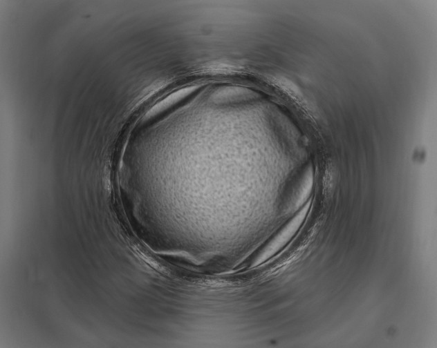 X0000097851209200803281240