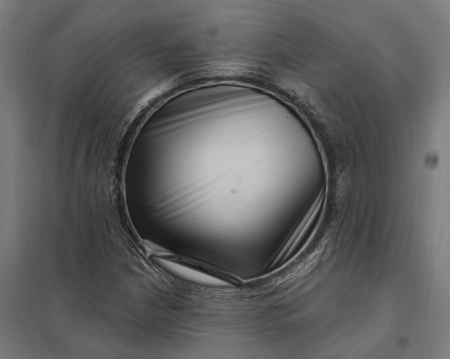 X0000097851210200803281240