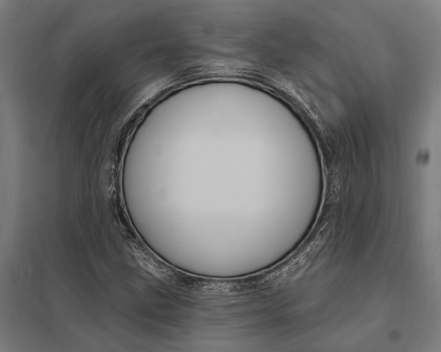 X0000097851211200803281240