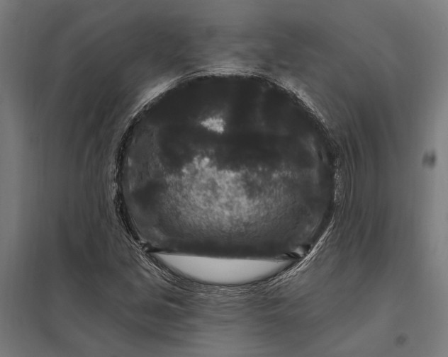 X0000097851213200803281240