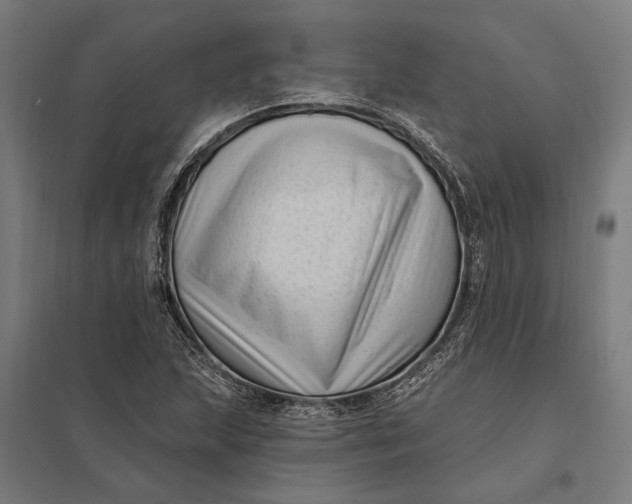 X0000097851215200803281240