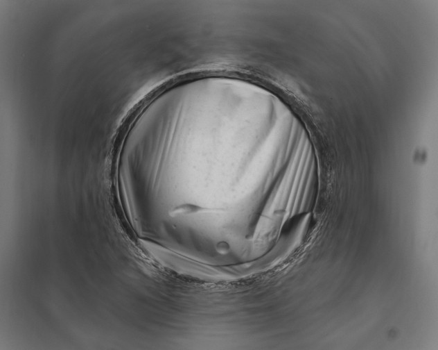 X0000097851216200803281240