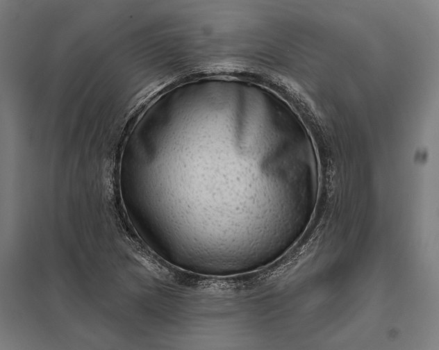 X0000097851217200803281240