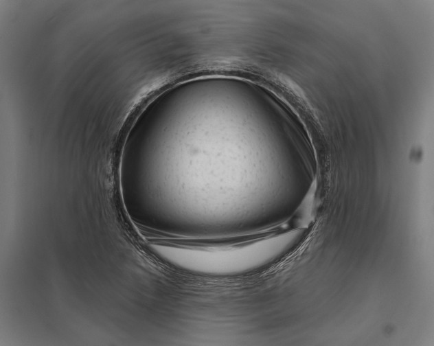 X0000097851218200803281240