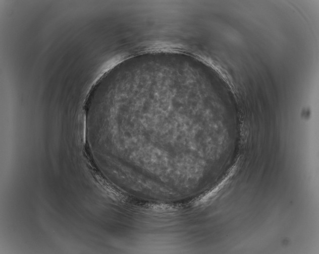 X0000097851219200803281240