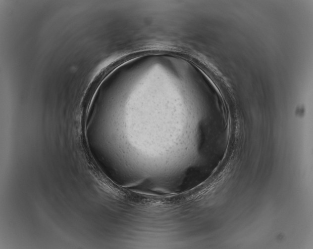 X0000097851222200803281240