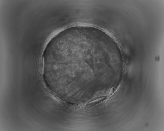 X0000097851223200803281240