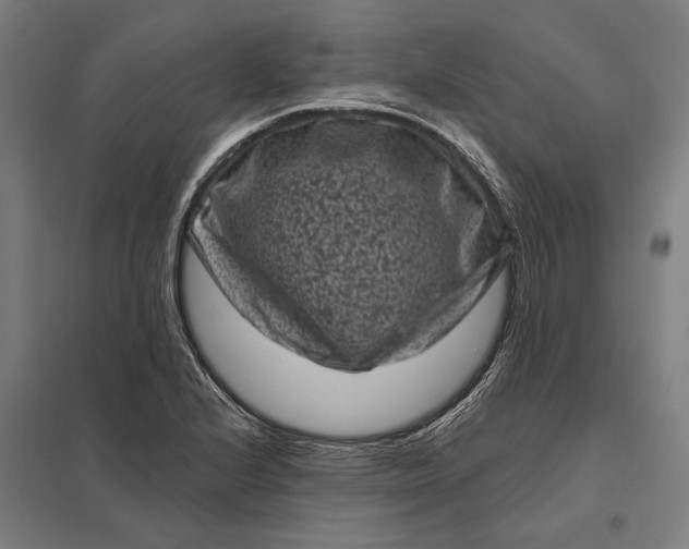 X0000097851224200803281240