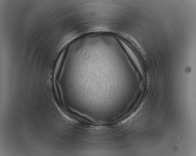 X0000097851225200803281240