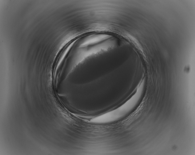 X0000097851226200803281240