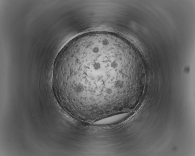 X0000097851228200803281240