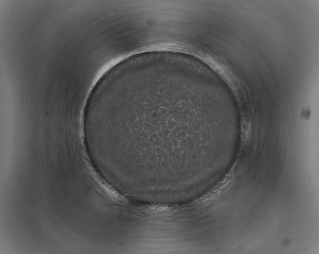 X0000097851230200803281240