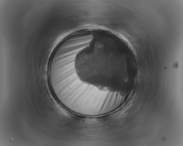 X0000097851231200803281240