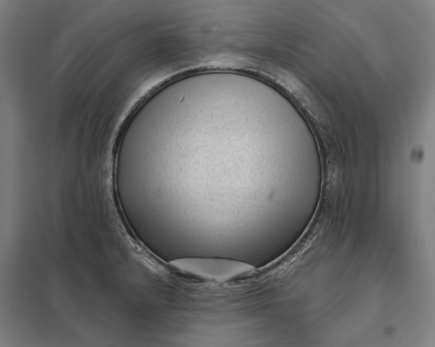 X0000097851232200803281240