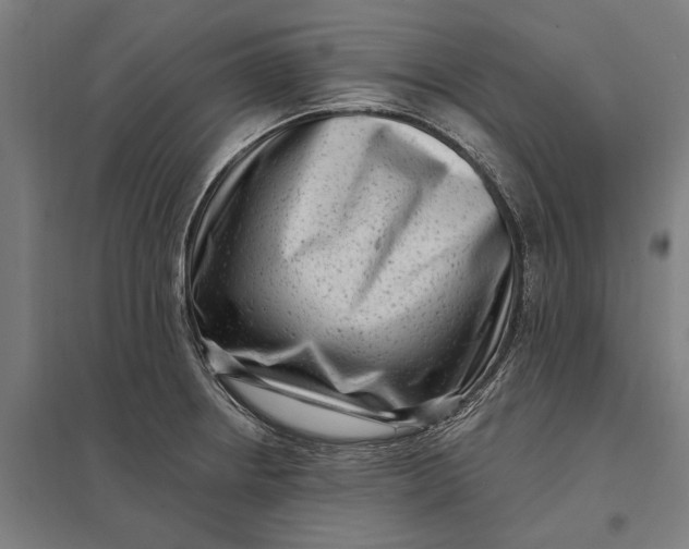 X0000097851234200803281240