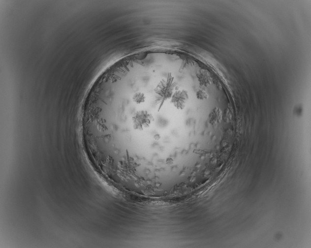 X0000097851235200803281240