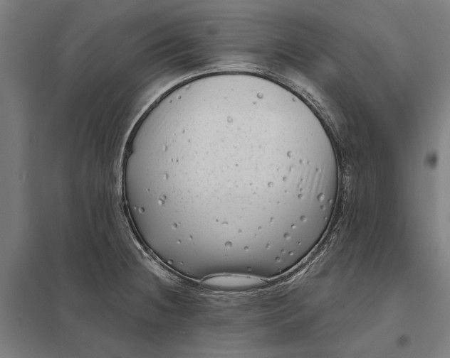 X0000097851236200803281240