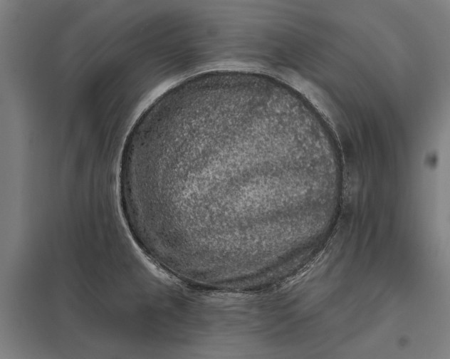 X0000097851237200803281240