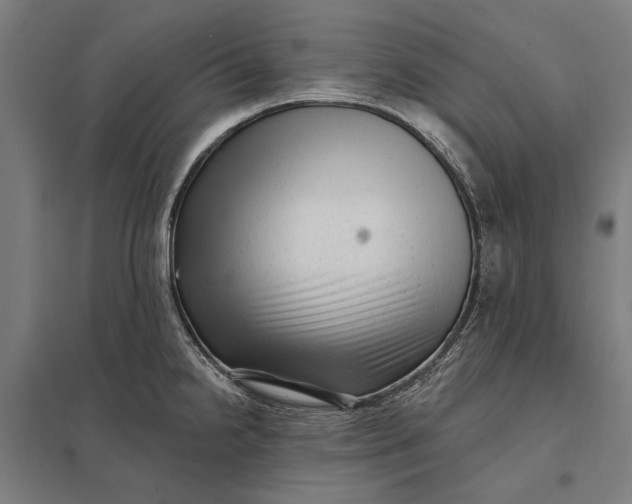 X0000097851238200803281240