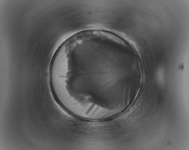 X0000097851239200803281240