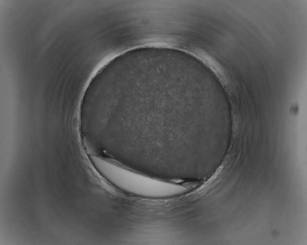 X0000097851240200803281240