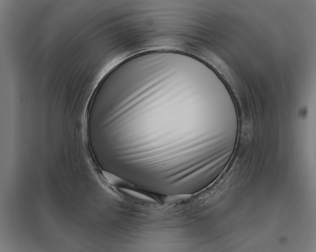 X0000097851242200803281240