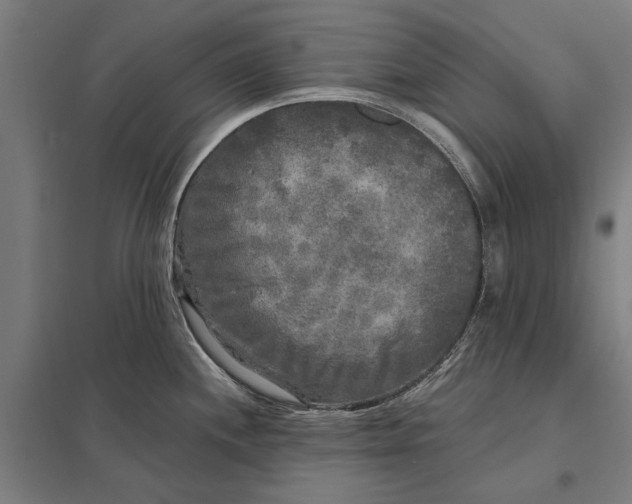 X0000097851244200803281240