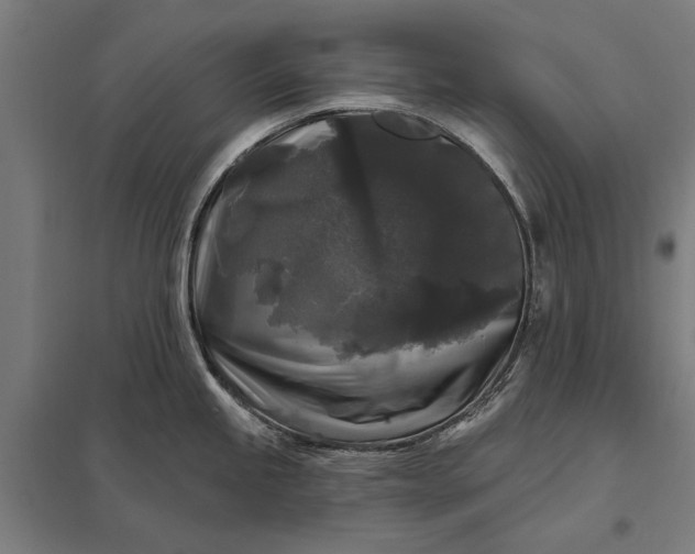 X0000097851245200803281240