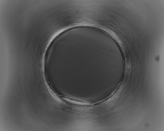 X0000097851246200803281240