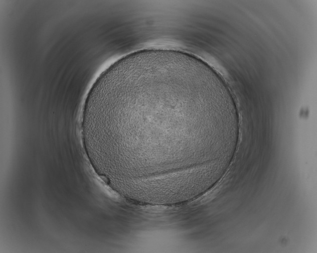 X0000097851248200803281240