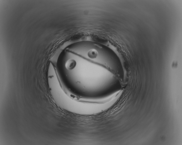 X0000097851249200803281240