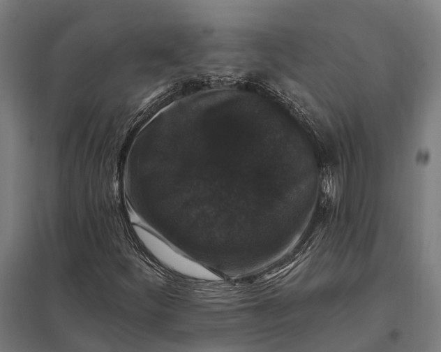 X0000097851252200803281240