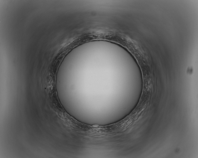 X0000097851253200803281240