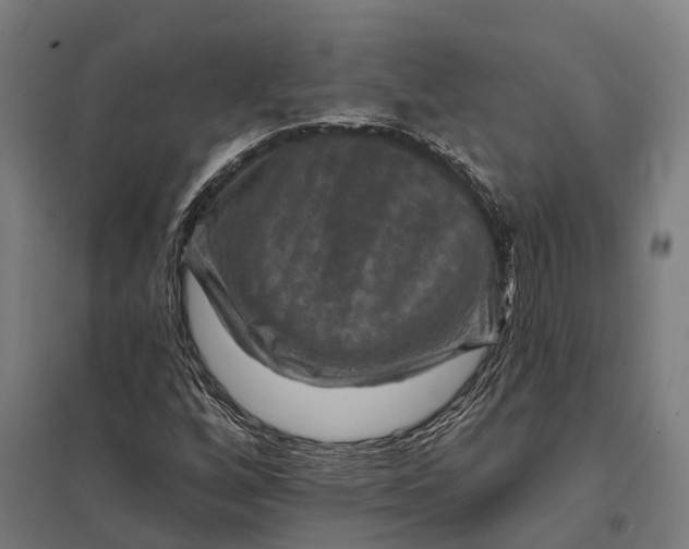 X0000097851256200803281240