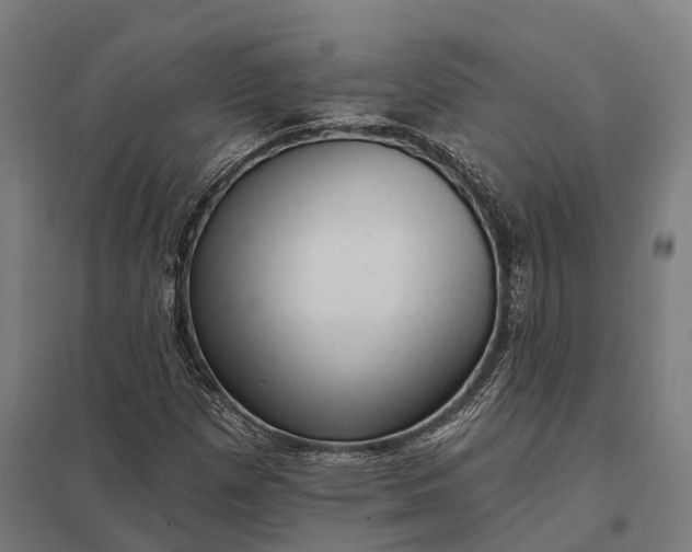 X0000097851257200803281240