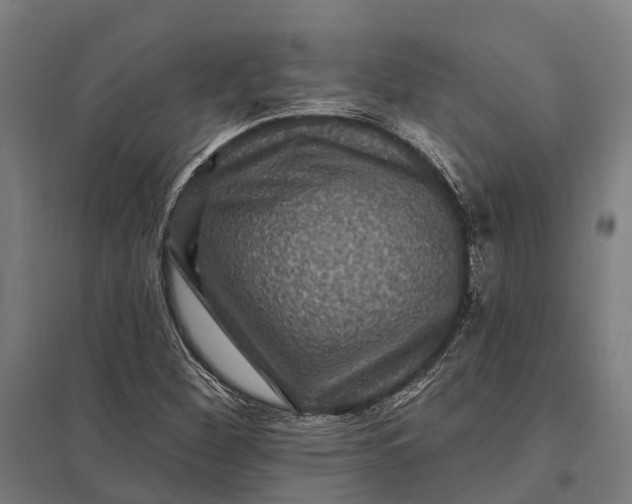 X0000097851260200803281240