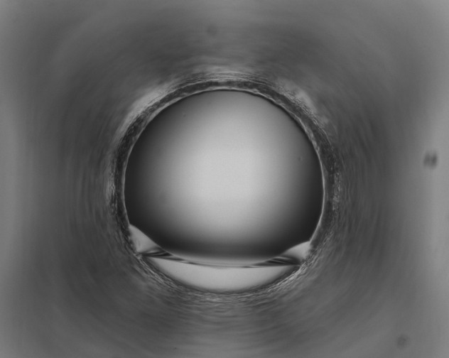 X0000097851261200803281240