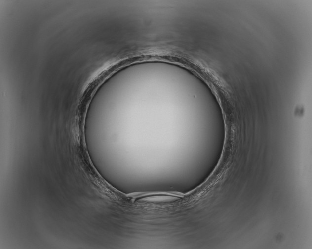 X0000097851262200803281239