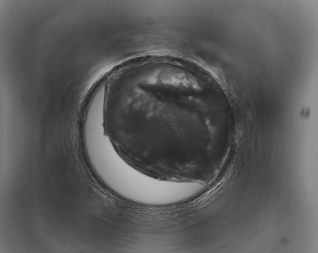 X0000097851263200803281239