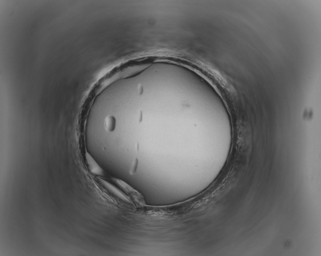 X0000097851264200803281239