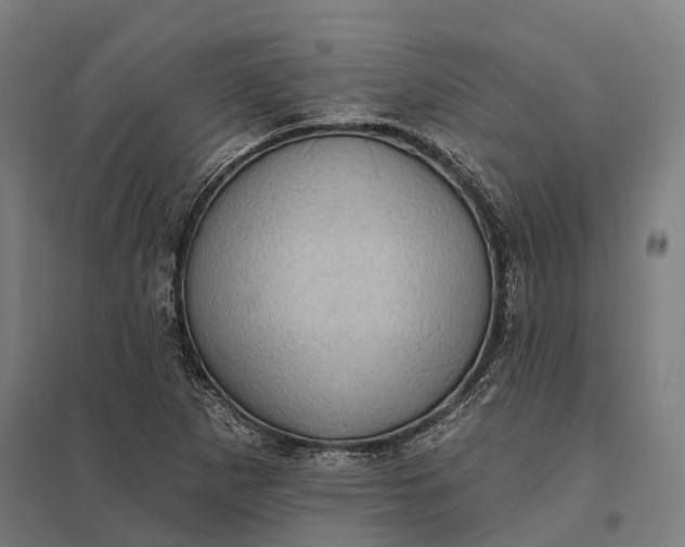 X0000097851265200803281239