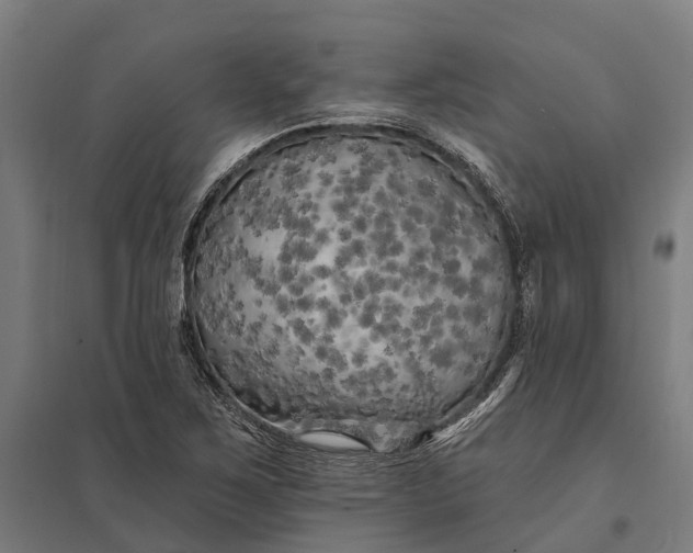 X0000097851267200803281239