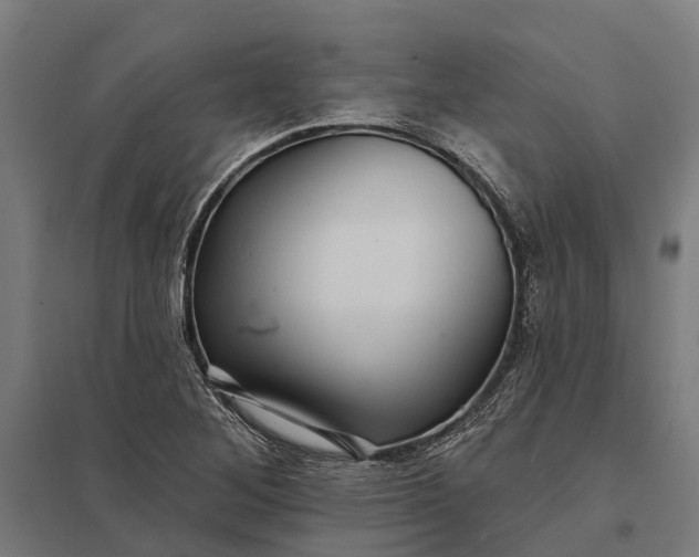 X0000097851268200803281239