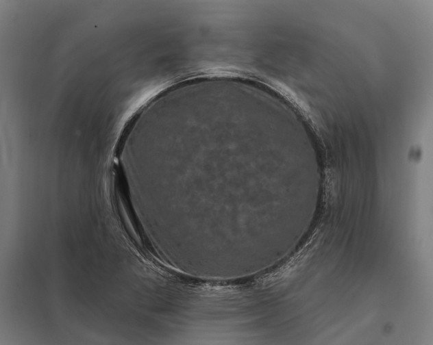 X0000097851269200803281239